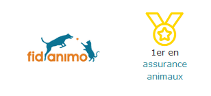 Fidanimo