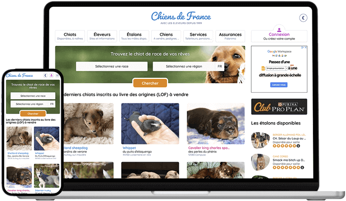 Chiens de France