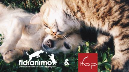 enquête-fidanimo-ifop