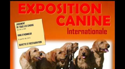 exposition canine CDF