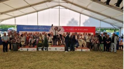 championnat-dijon-juin-2023