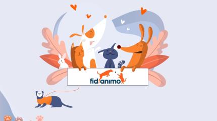 fidanimo-sante-animale