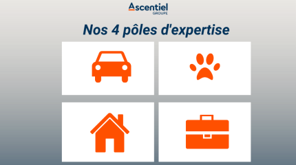 nos 4 poles d'expertise