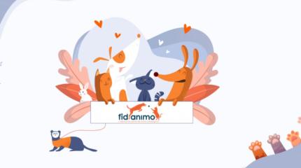 fidanimo