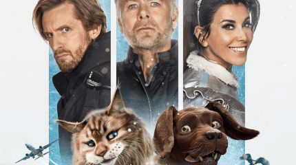 Infographie film "chien et chat"