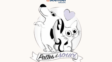 Patte d'souci 