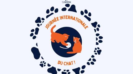 Journée mondiale du chat